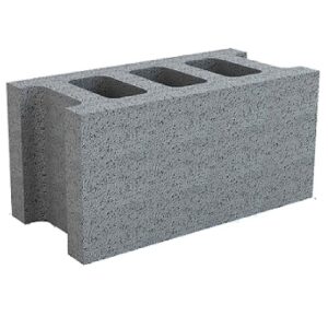 Gạch block ngang 100