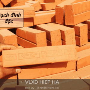 Gạch đinh đặc