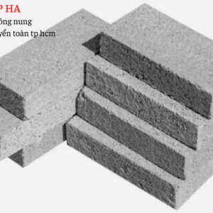 Gạch đinh SUNKO 180x80x40